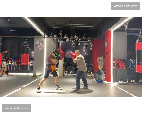 搏击vs拳击全面对比解析技术规则训练与实战差异发展历史观赛体验