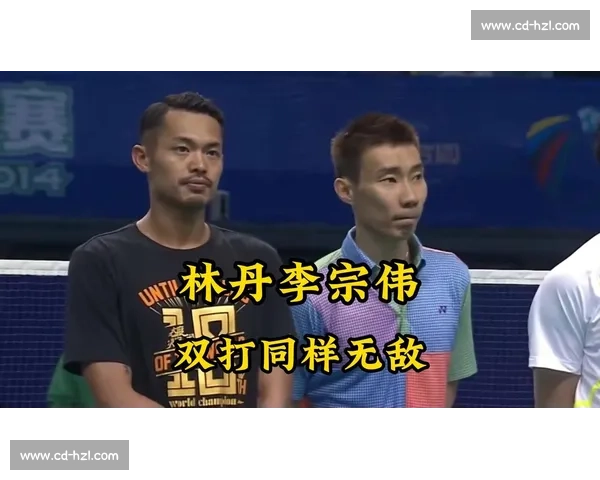 二零一七年林丹对决李宗伟的巅峰之战与传奇终章羽坛史诗回顾经典
